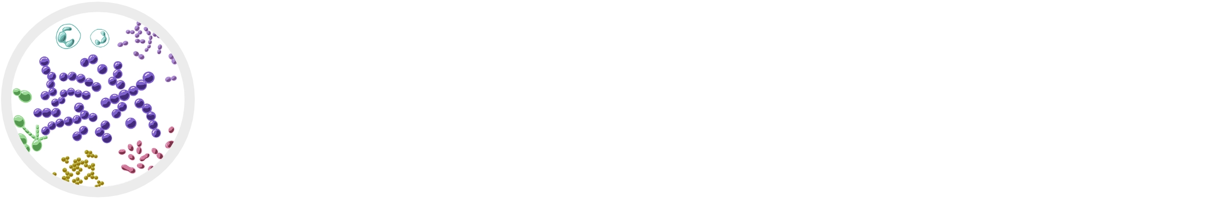 Doran lab logo